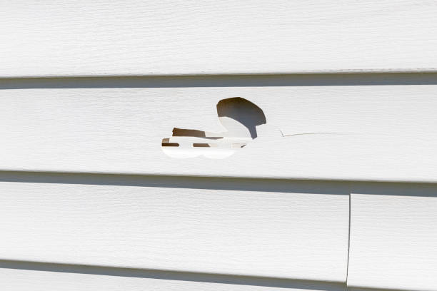 Best Same-Day Junk Removal Services  in Newburgh, IN